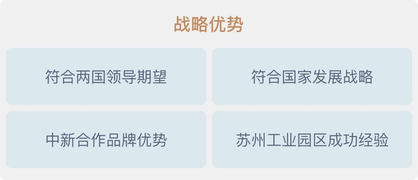 战略优势.jpg